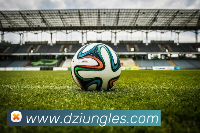 华体网页版登录入口发展历程